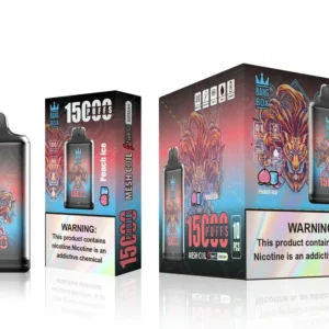 bang box 15000 puff 10 packs or more