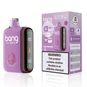 bangbox 9000 18000 puffs – multiple flavor