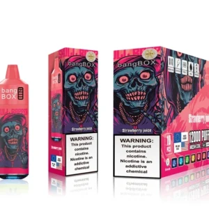 bangbox 12000 puffs disposable vape – multiple flavor