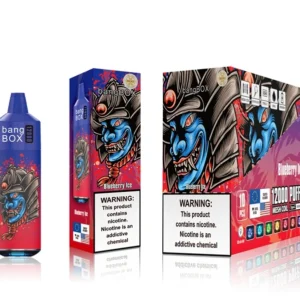 bangbox 12000 puffs disposable vape – multiple flavor