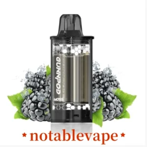 import placeholder for 21008