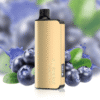 ALIBARBAR INGOT 9000 PUFFS – Blueberry Mint blueberry blast.png