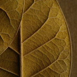 relx magicgo 4000 tobacco (gold)