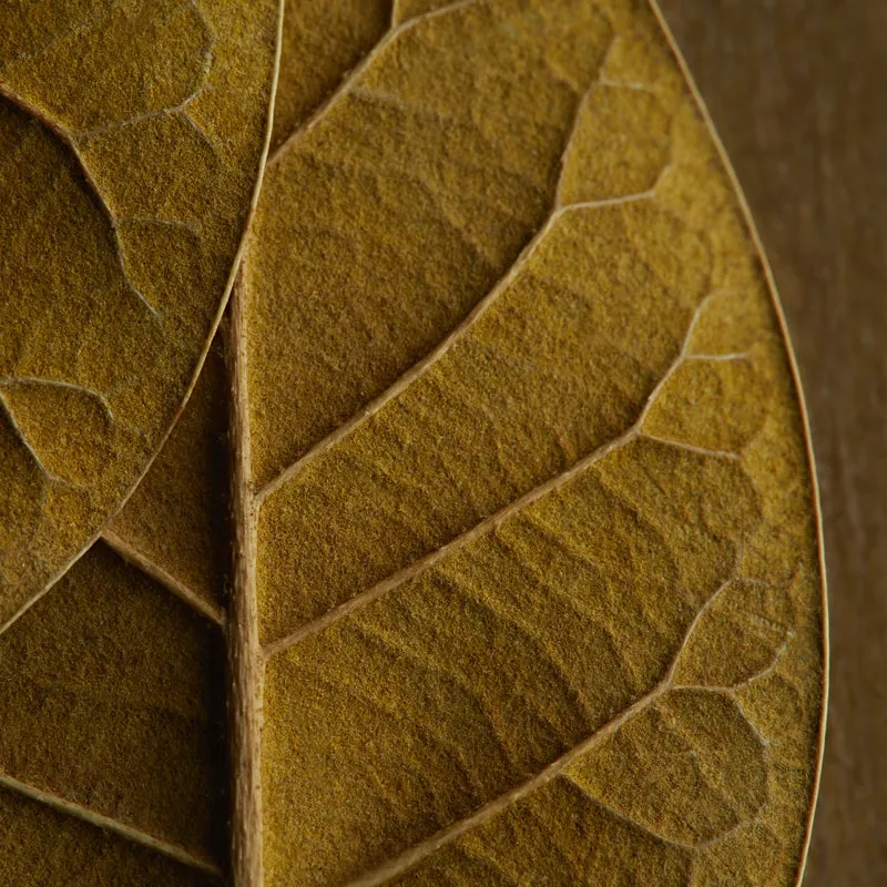 relx magicgo 4000 tobacco (gold) relx magicgo 4000 tobacco (gold)