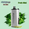 fresh mint.webp