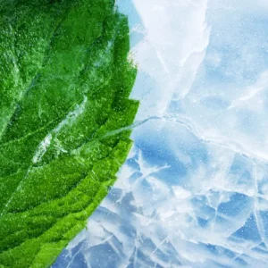 relx magicgo 4000 mint