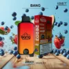 BANG – BLUEBERRY WATERMELON – 20000 PUFFS import placeholder for 3318