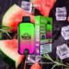 BANG – WATERMELON ICE – 20000 PUFFS import placeholder for 3336