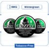 Grizzly Wintergreen 9 mg Nicotine Pouch import placeholder for 6390