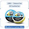 Juice Head Blueberry Lemon Mint 12mg import placeholder for 6622