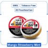 Juice Head Mango Strawberry Mint 6mg import placeholder for 6614