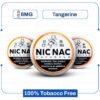 Nic Nac Tangerine 6mg Nicotine Pouches – 5 Cans import placeholder for 6350