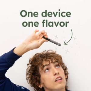 fum zero – flavored air device