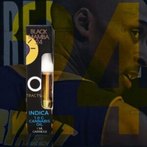 import placeholder for 4051